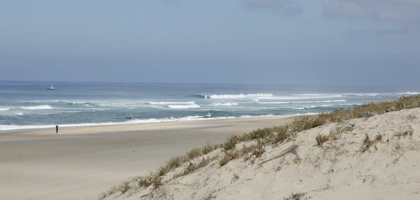 Les Landes Surferparadies in Frankreich