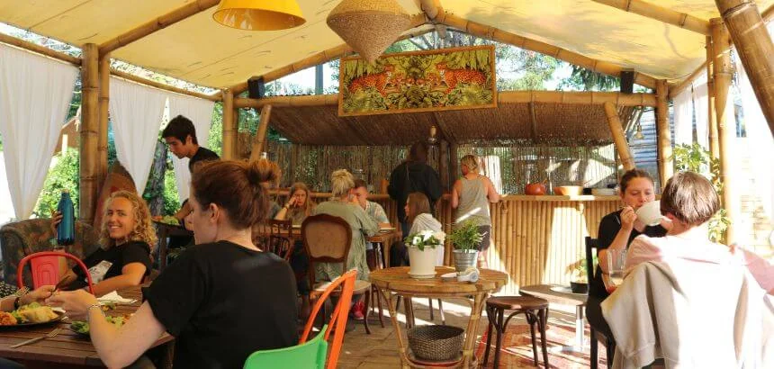 Frühstück im Bambus Pavillon vom Dreamsea Surfcamp Spanien Frühstück im Bambus Pavillon vom Dreamsea Surfcamp Spanien
