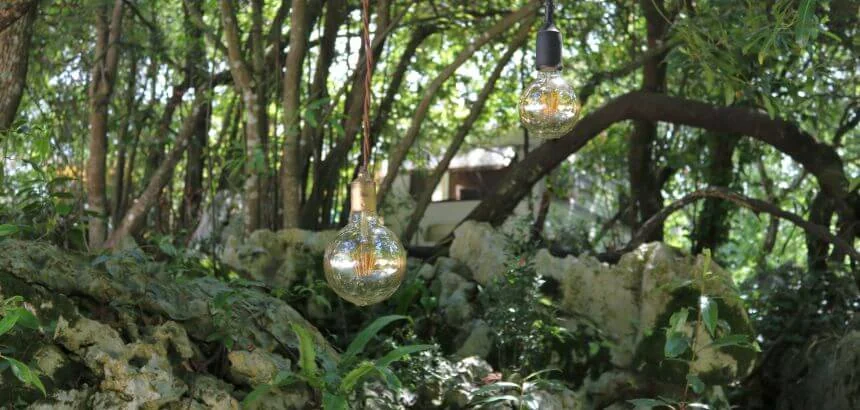 Wald, Felsen und Natur rund um das Dreamsea Surfcamp in Spanien Wald, Felsen und Natur rund um das Dreamsea Surfcamp in Spanien