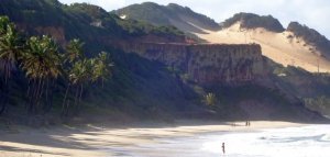 SURFEN IN BRASILIEN: ZWISCHEN KOKOSPALMEN, HIPPIES & DELPHINEN