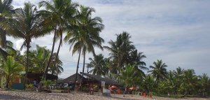 SURFEN IN BRASILIEN: DAS SURFERPARADIES TAIPU DE FORA