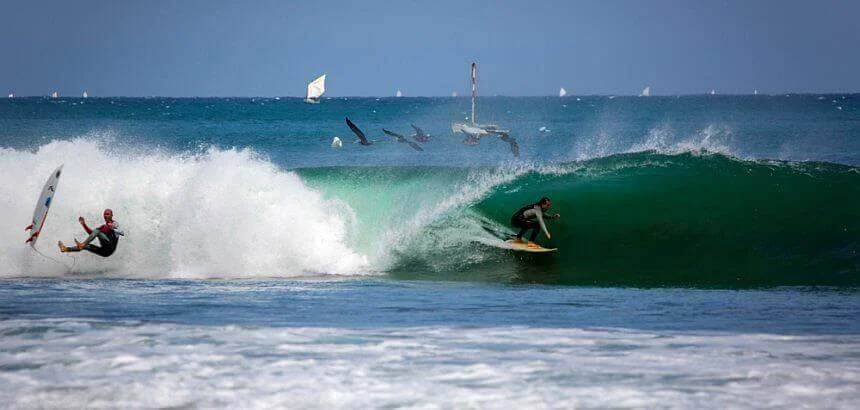 Surf