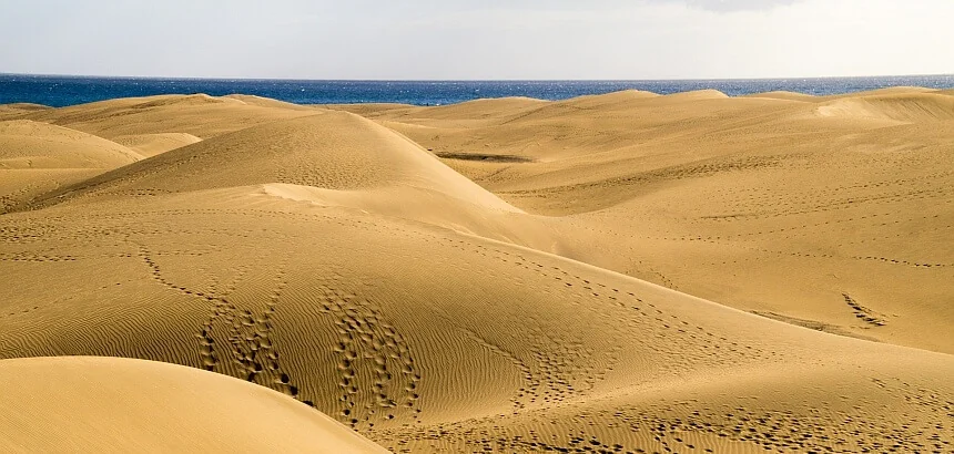 Auf Gran Canaria surfen_Dünen Maspalomas