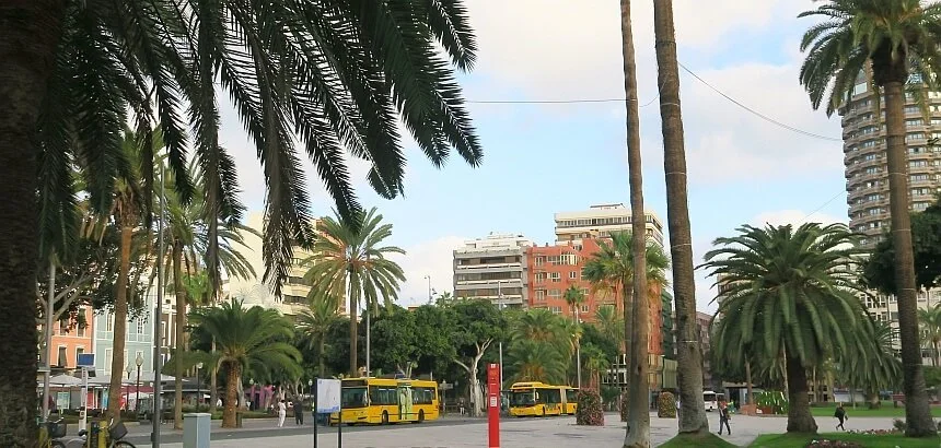 Guaguas auf Gran Canaria