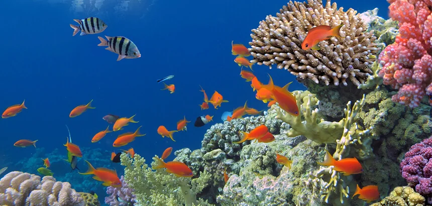 arbeiten-und-surfen-in-australien-4