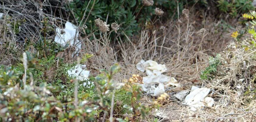 Leider kein Einzelfall_Klopapier und Scheißhaufen am Strandparkplatz_Wildcampen Portugal Leider kein Einzelfall_Klopapier und Scheißhaufen am Strandparkplatz_Wildcampen Portugal