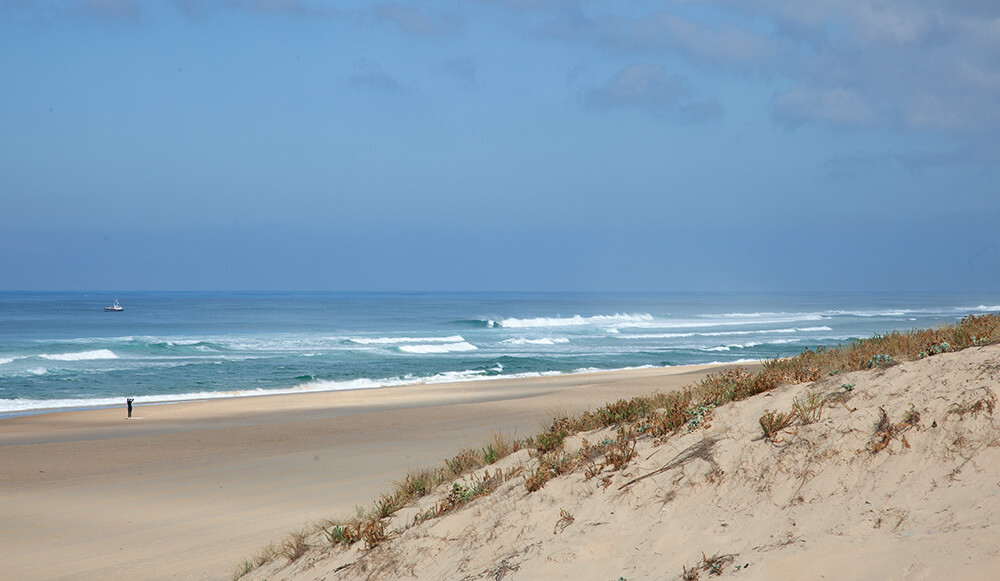 Beste Reisezeit zum surfen in Frankreich