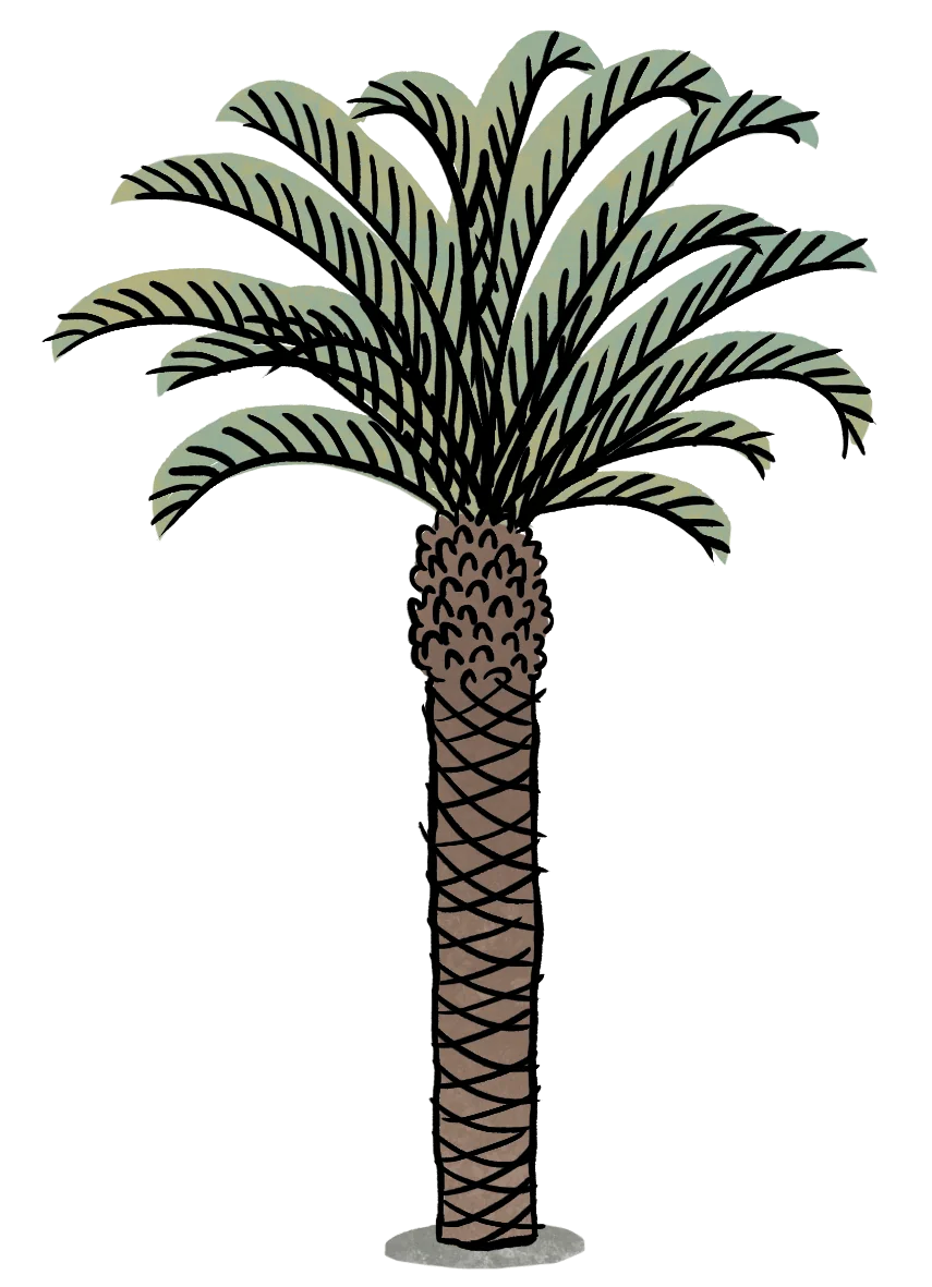 große Palme große Palme