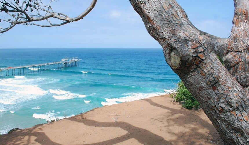 La Jolla in San Diego bietet viele erstklassige Surfspots