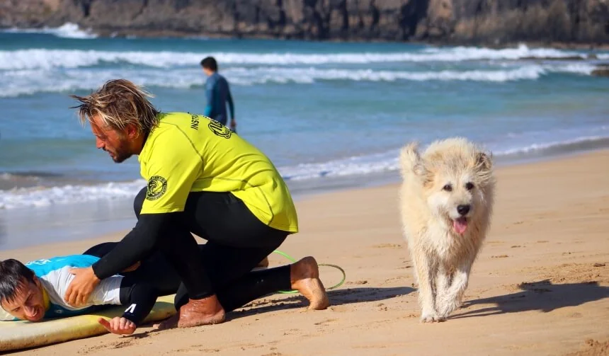 Surfcamp Hund Maui ist immer dabei Surfcamp Hund Maui ist immer dabei