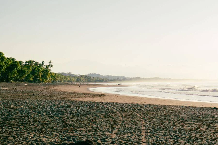 Palmen, Strand und Meer – das typische Setting in Costa Rica