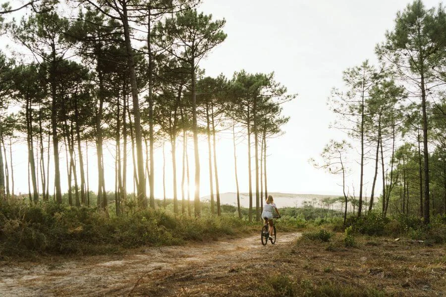 Typisch Frankreich - Pininewald und Dünen an der französischen Atlantikküste