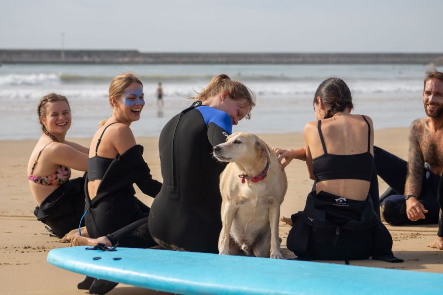 Surftheorie-Einheit mit Hund am Strand von Barbate